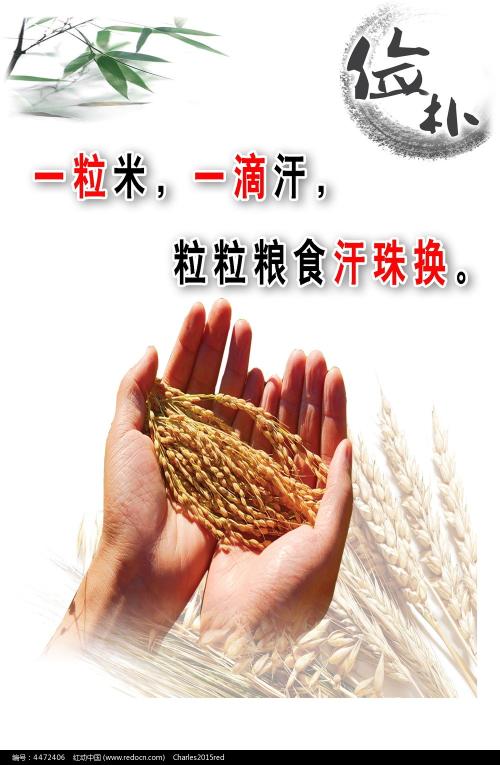 日本圣汤马斯大学学历认证